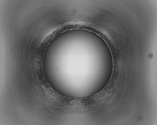 X0000089390967200706221314
