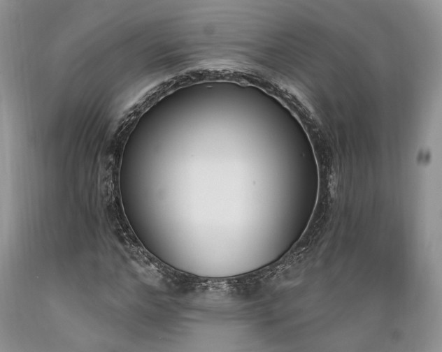 X0000089390968200706221314