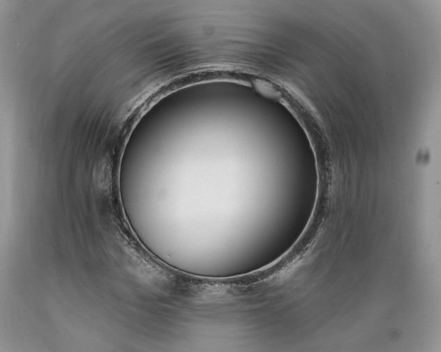 X0000089390969200706221314