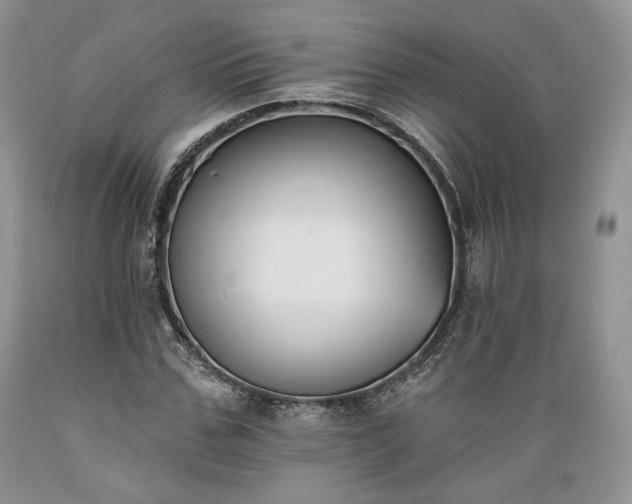 X0000089390971200706221314