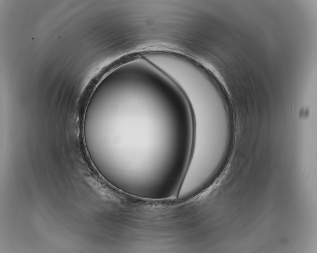 X0000089390973200706221314