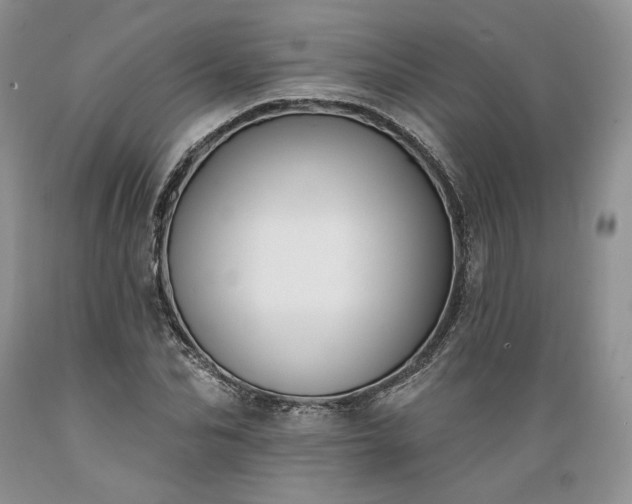 X0000089390974200706221314