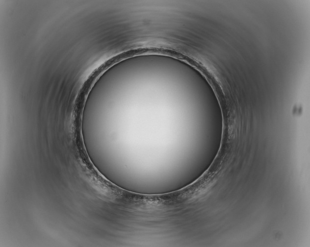 X0000089390975200706221314