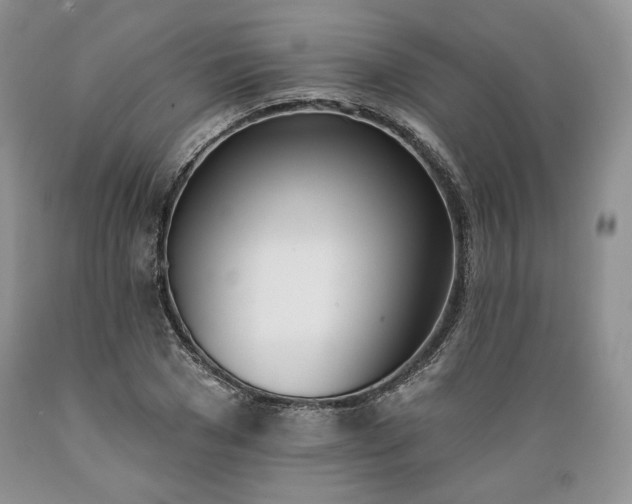 X0000089390977200706221314