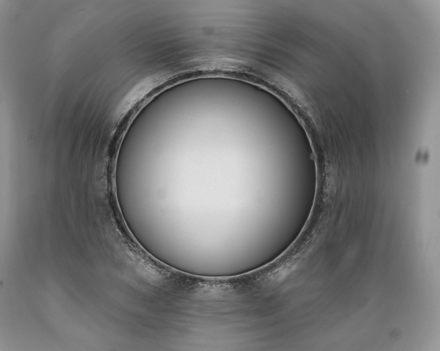 X0000089390978200706221314
