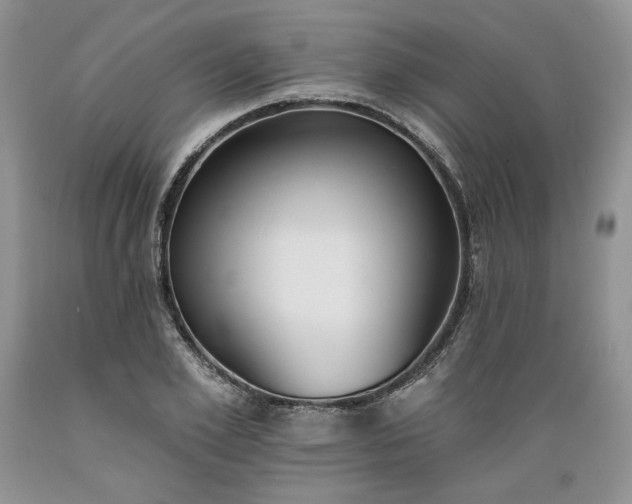 X0000089390981200706221314