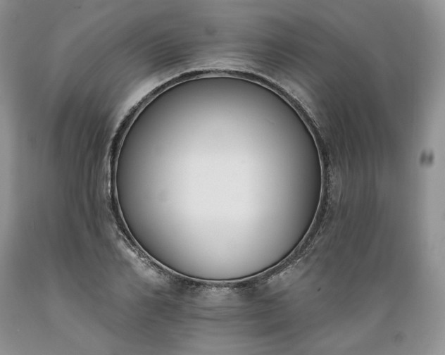 X0000089390982200706221314