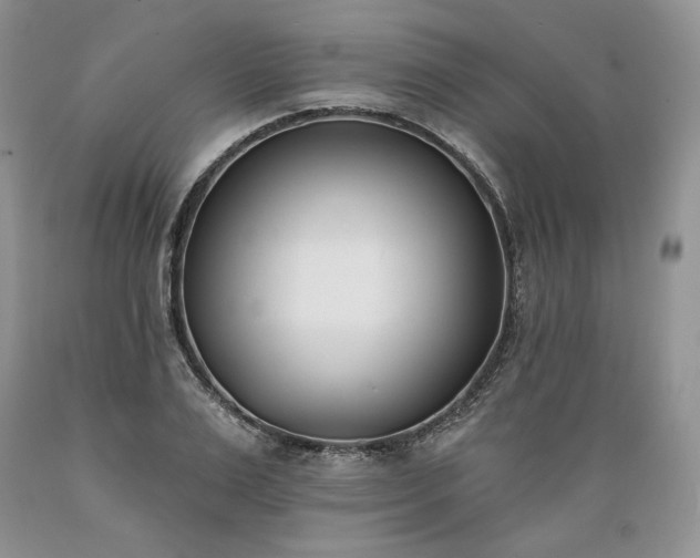 X0000089390983200706221314