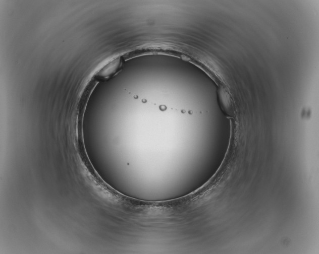 X0000089390984200706221314