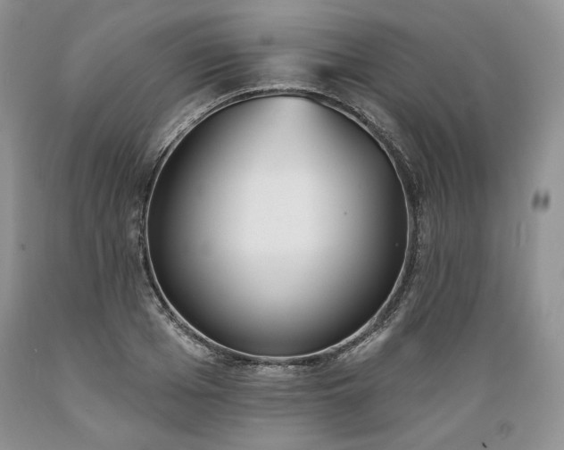 X0000089390985200706221314