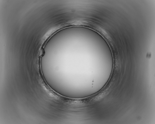 X0000089390986200706221314