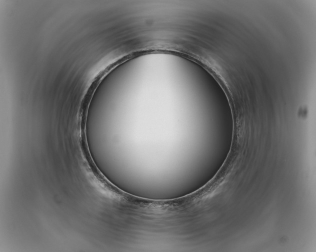 X0000089390987200706221314