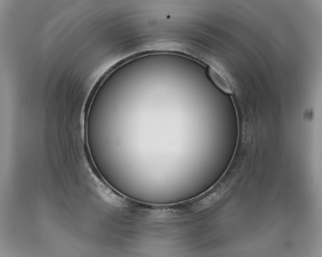 X0000089390988200706221314