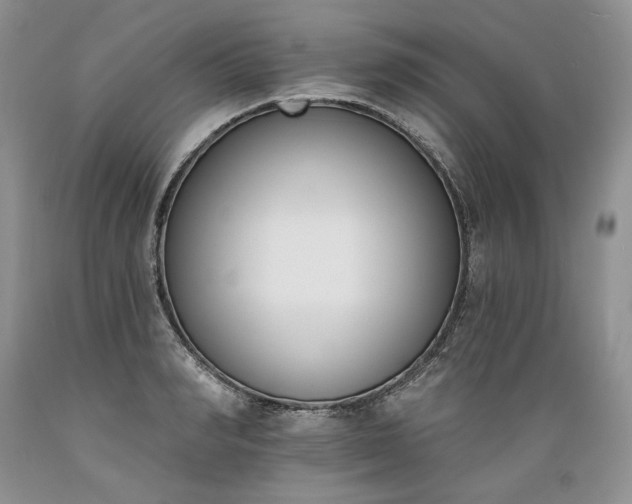 X0000089390990200706221314