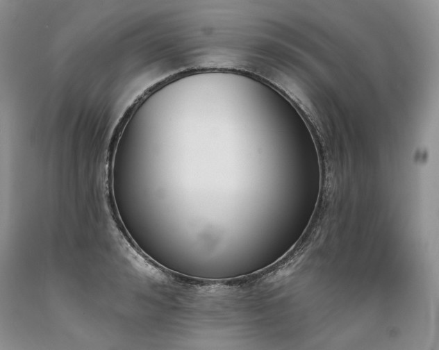 X0000089390992200706221314