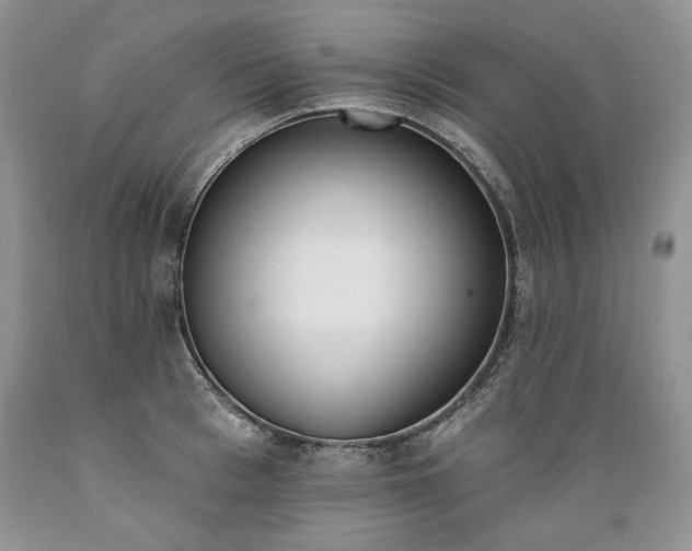 X0000089390993200706221314