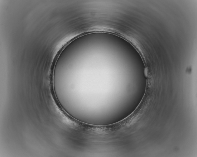 X0000089390995200706221314