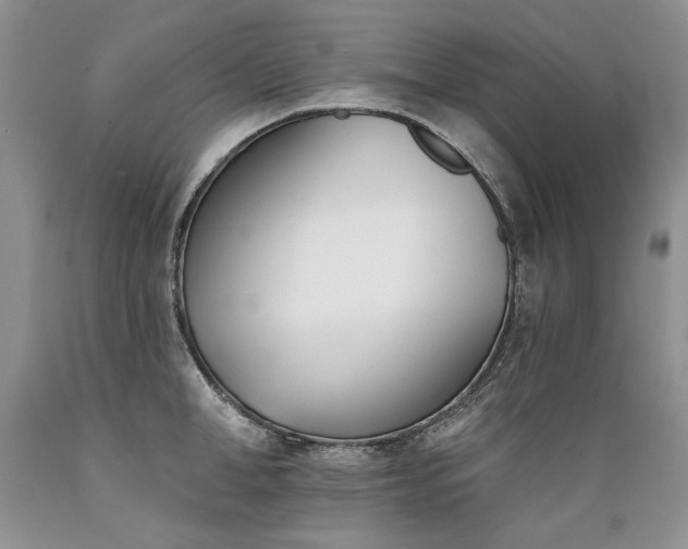 X0000089390998200706221314