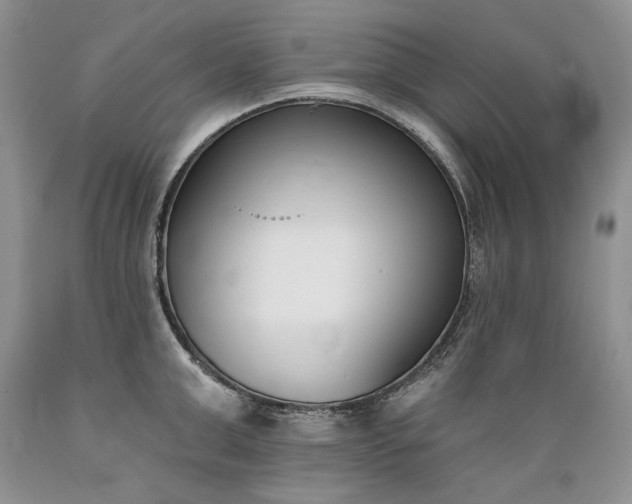 X0000089390999200706221314