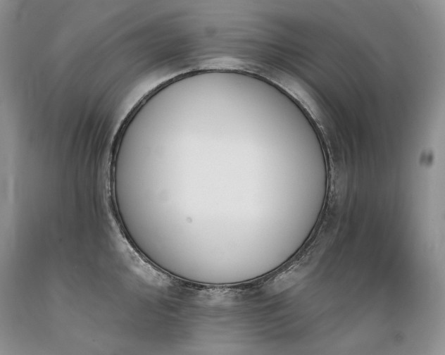 X0000089391000200706221314