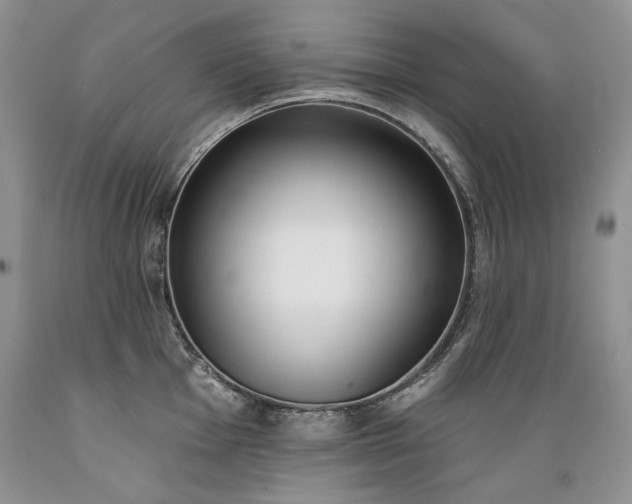 X0000089391001200706221314