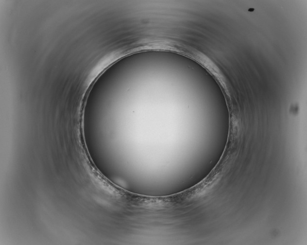 X0000089391002200706221314