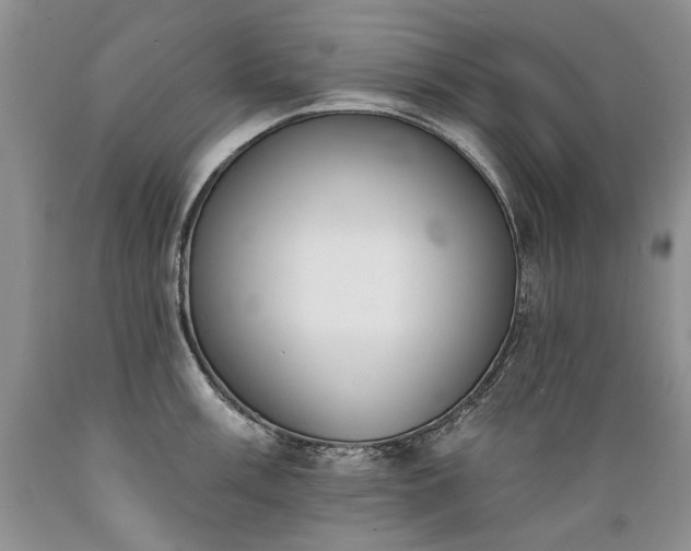 X0000089391003200706221314