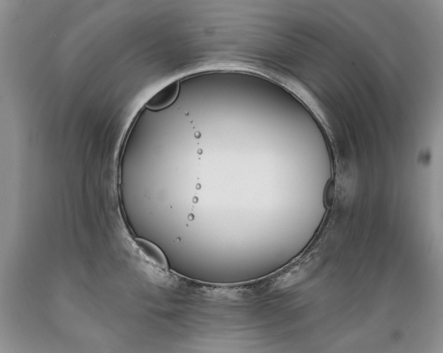 X0000089391004200706221314