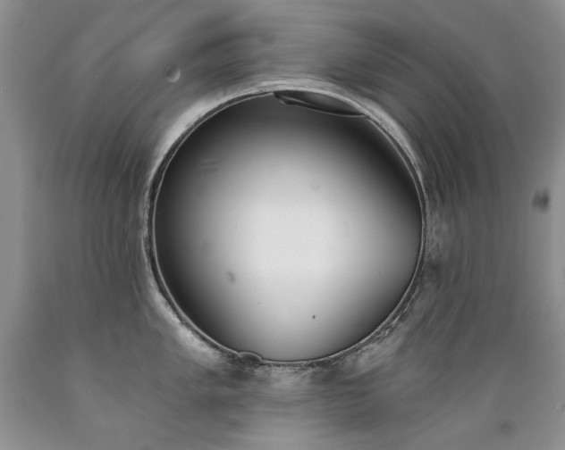 X0000089391005200706221314