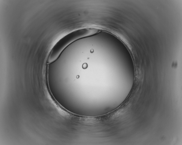 X0000089391007200706221314