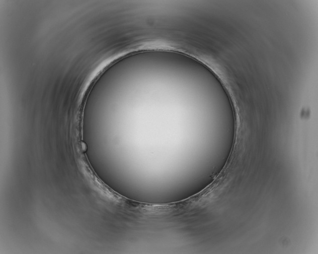 X0000089391008200706221314