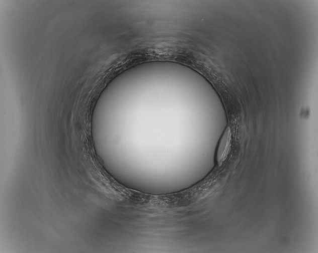 X0000089391009200706221313