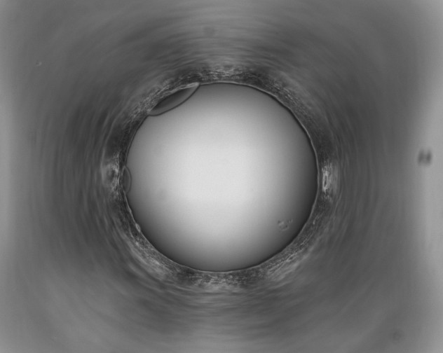 X0000089391011200706221313