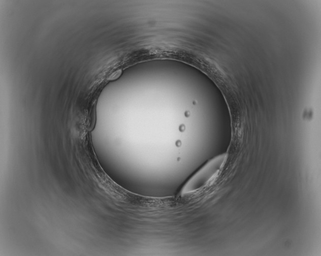X0000089391012200706221313