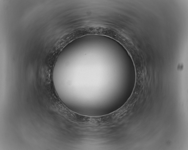 X0000089391013200706221313