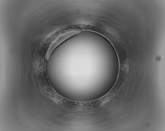 X0000089391014200706221313