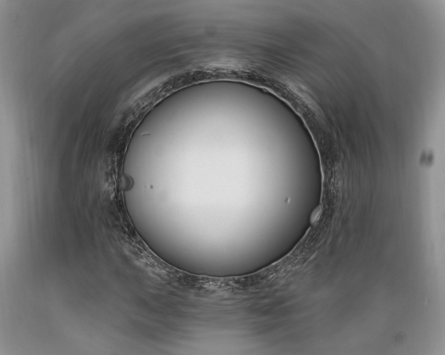 X0000089391015200706221313