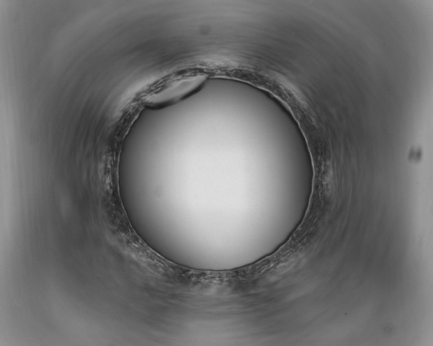 X0000089391016200706221313