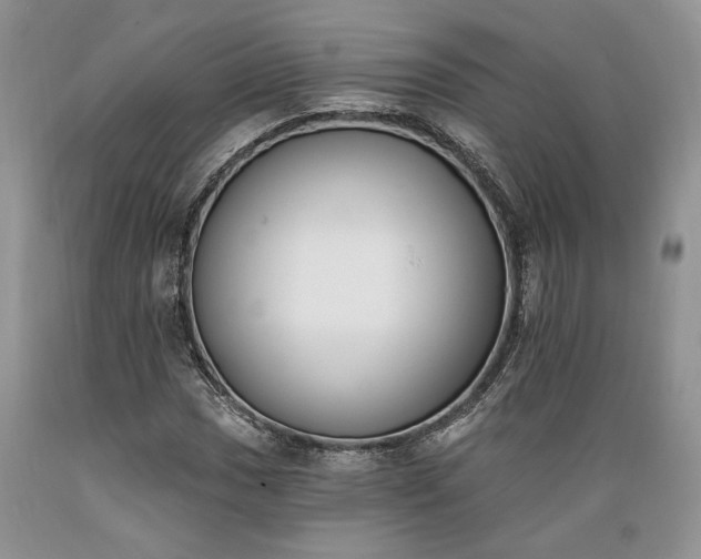 X0000089391017200706221313