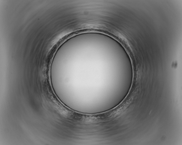 X0000089391019200706221313
