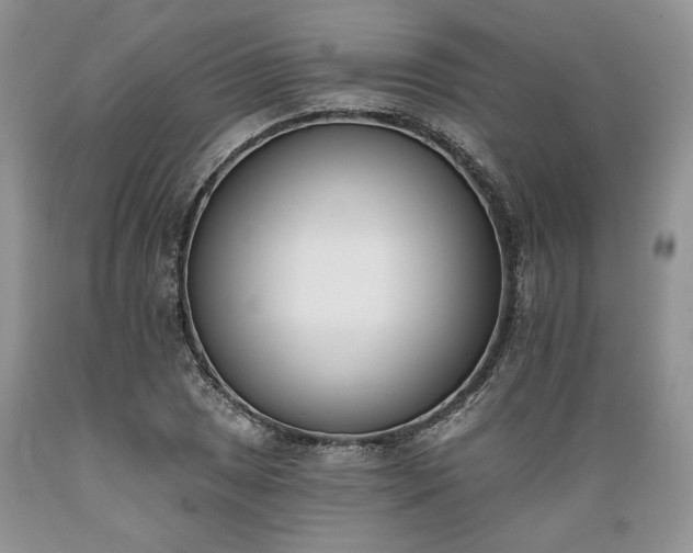 X0000089391025200706221313