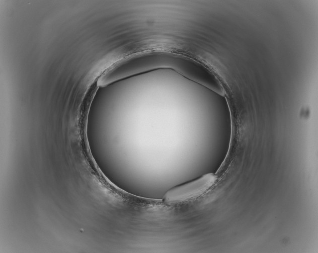 X0000089391026200706221313