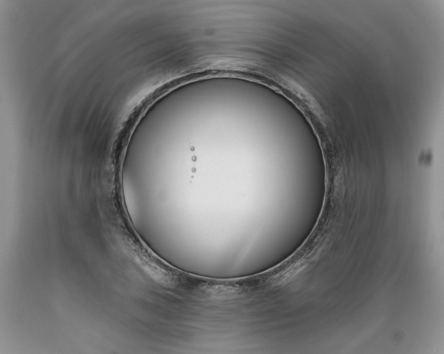X0000089391027200706221313