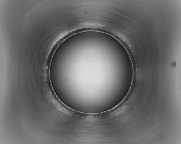 X0000089391029200706221313