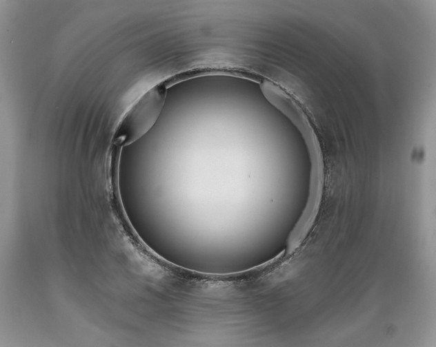 X0000089391030200706221313