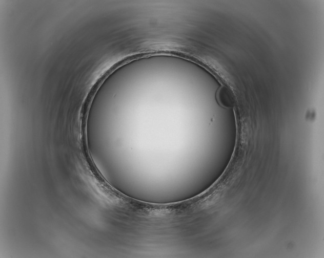 X0000089391031200706221313