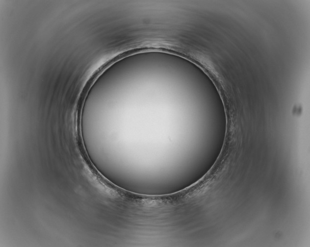 X0000089391032200706221313