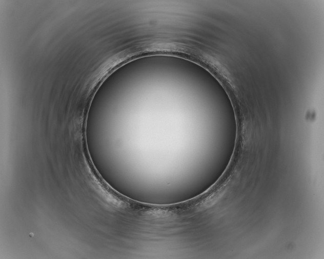 X0000089391033200706221313