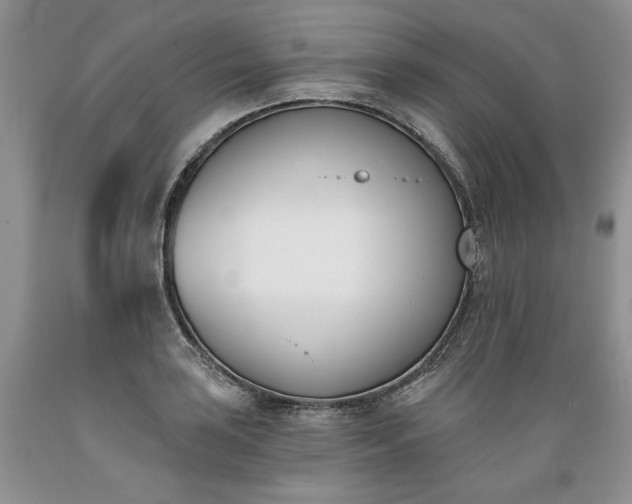 X0000089391035200706221313
