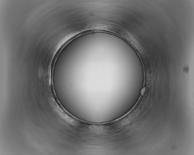 X0000089391036200706221313